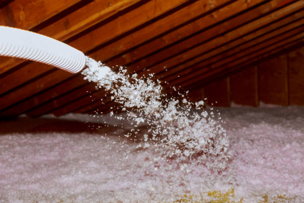 Best Insulation for Specific Applications in South Shore, KY