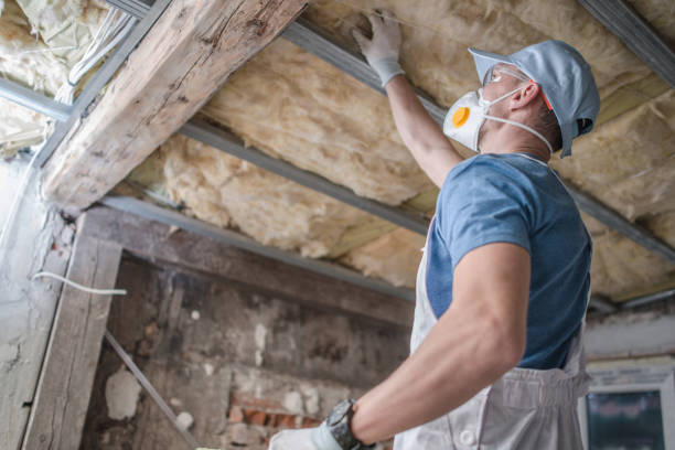  South Shore, KY Insulation Contractor Pros