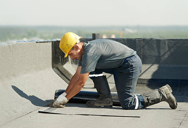  South Shore, KY Insulation Contractor Pros
