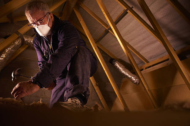 Best Insulation Installation Services in South Shore, KY