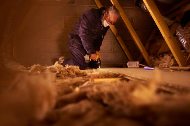 Best Insulation Materials and Products in South Shore, KY